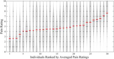 Influence of Individual Differences in fMRI-Based Pain Prediction Models on Between-Individual Prediction Performance